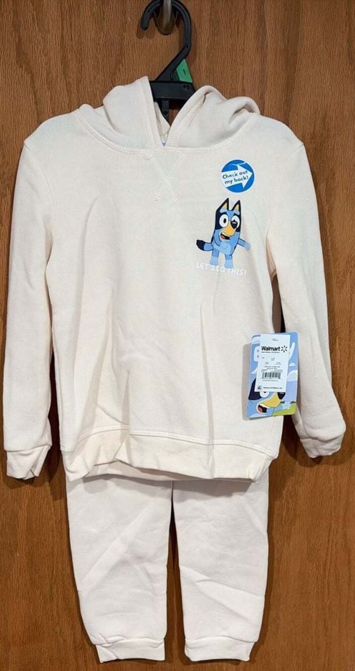 Bluey Toddler Boys 2-Piece Fleece Hoodie and Jogger Pants Outfit Set
